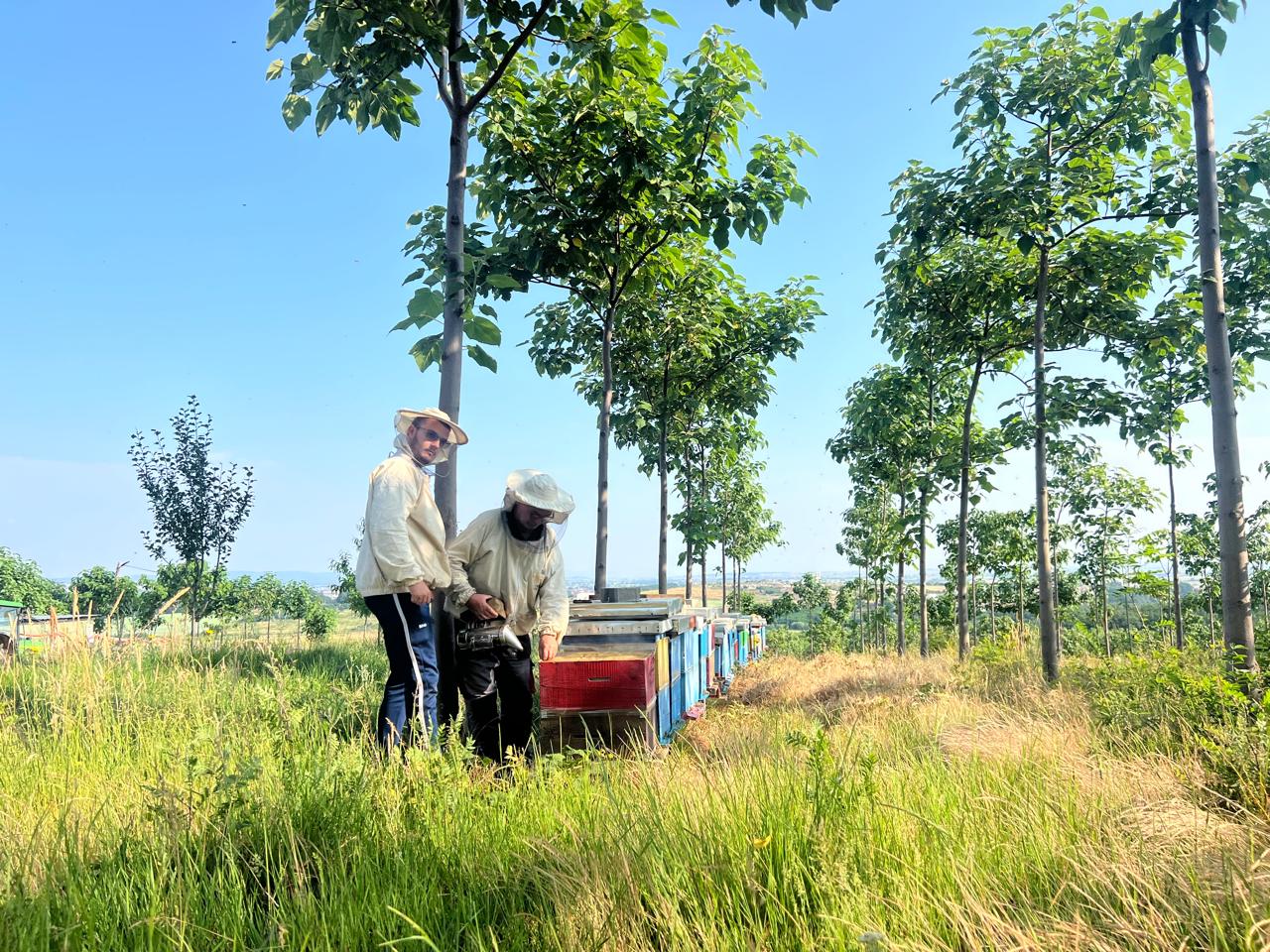 Imker bei den Bienenstöcken auf der Greenchild-Plantage